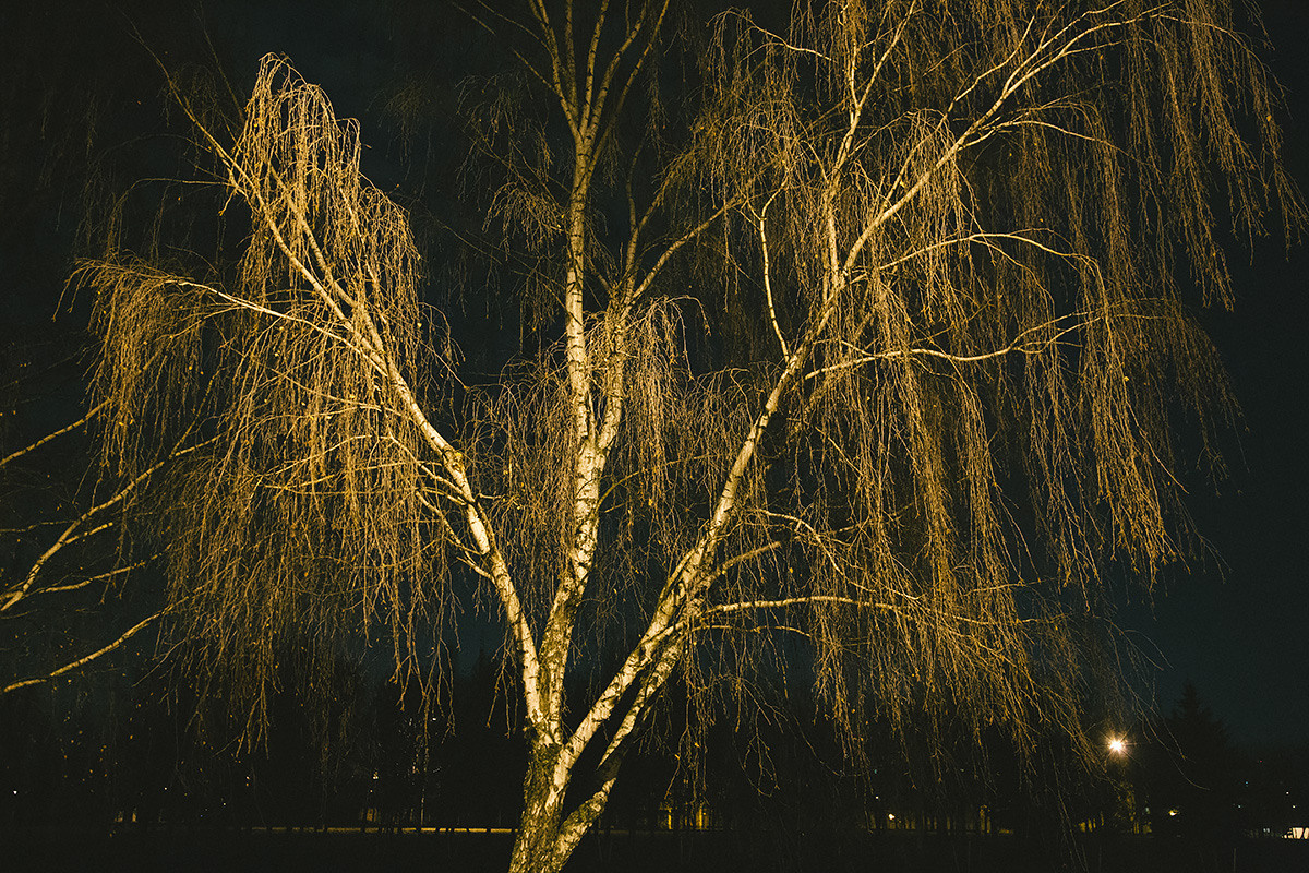 Ночь в городе. Оператор Аркадий Соболев