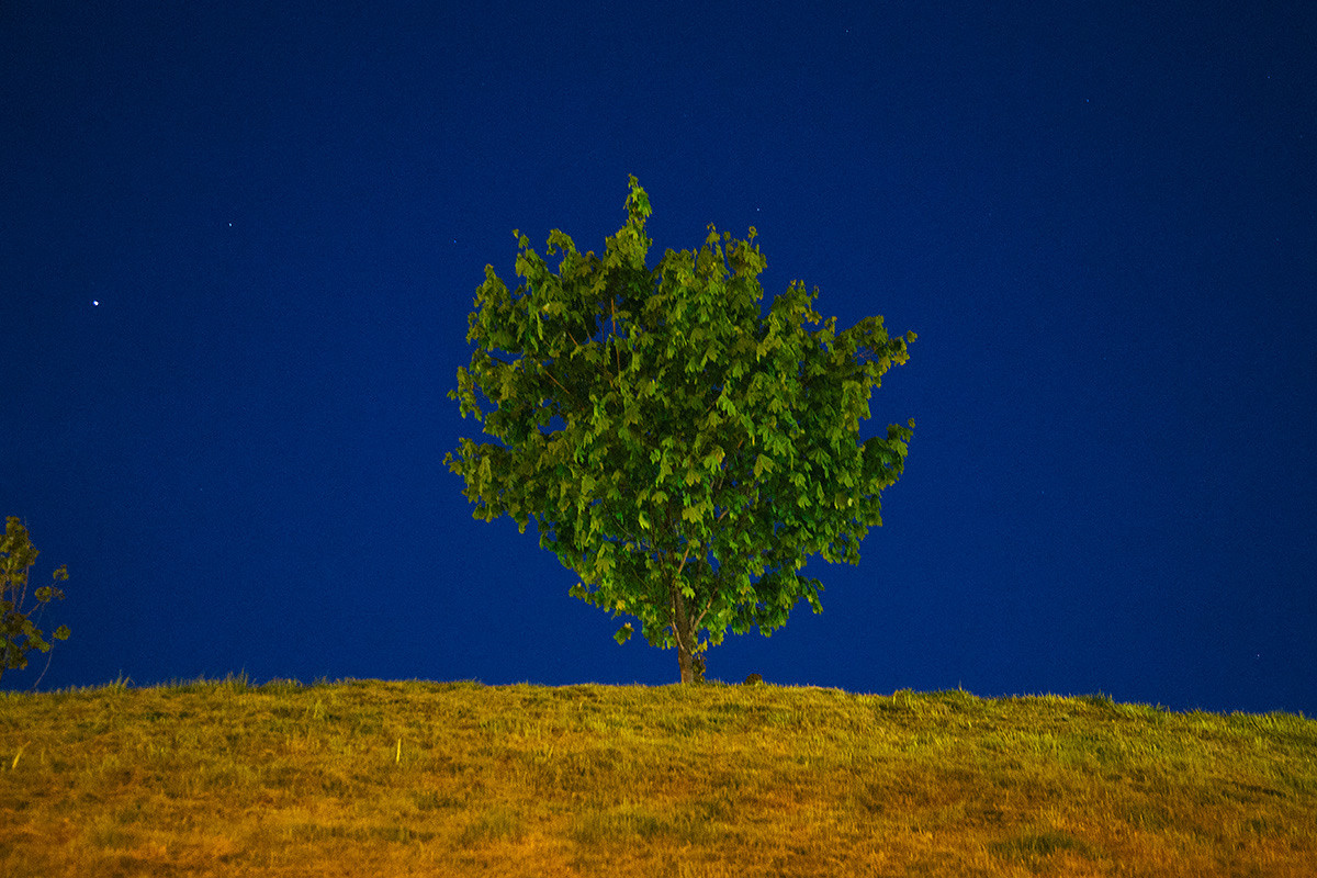 Ночь в городе. Оператор Аркадий Соболев