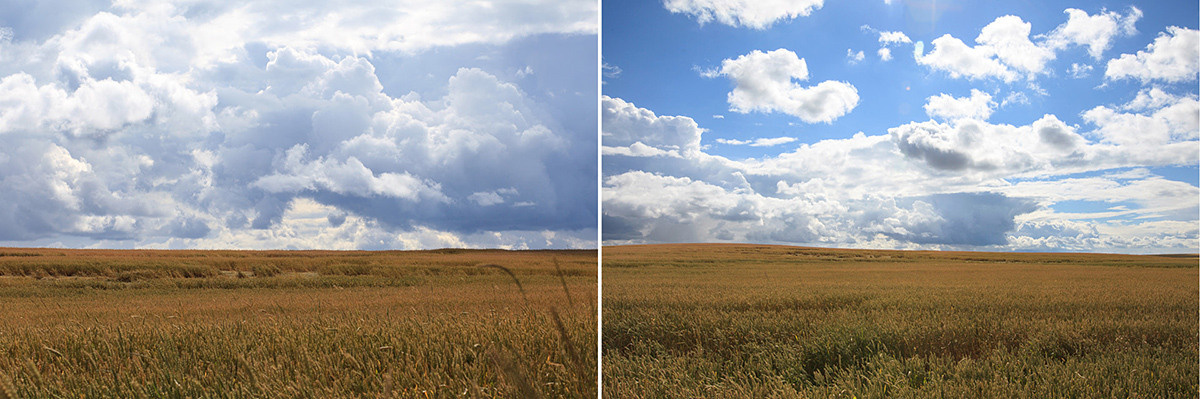 Seasons. Оператор Аркадий Соболев