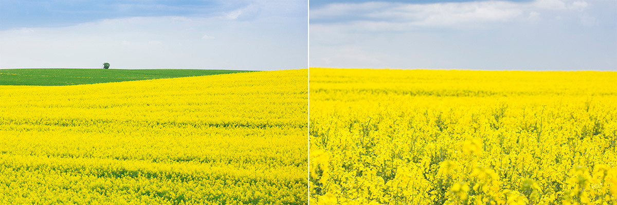 Seasons. Оператор Аркадий Соболев