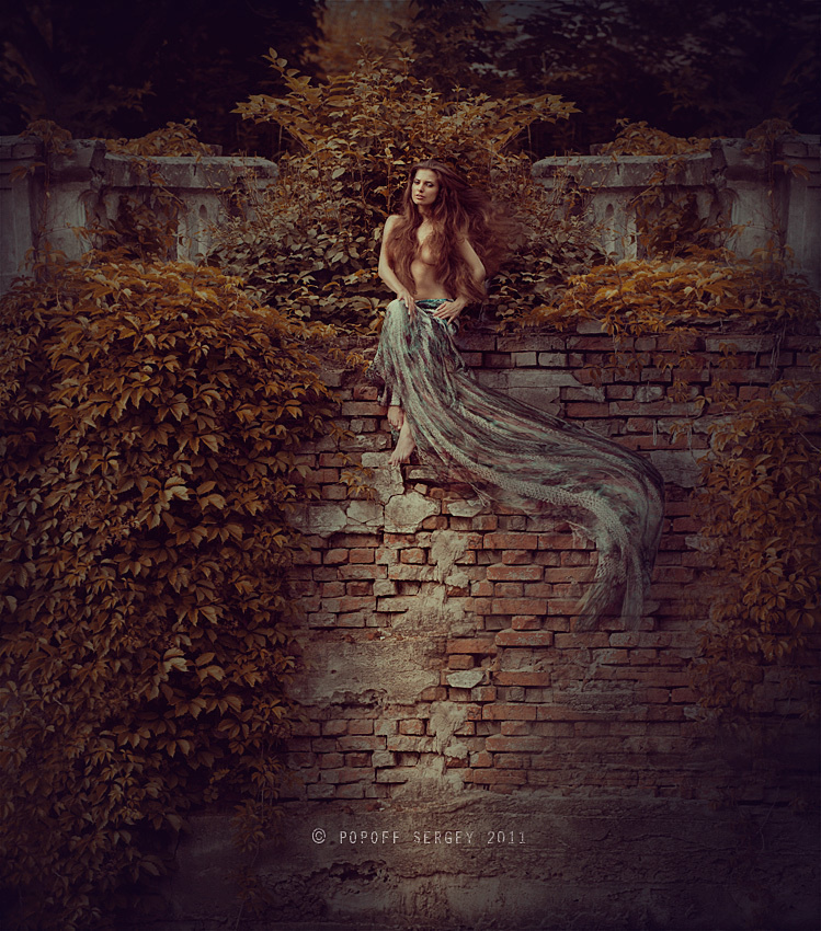 Без названия