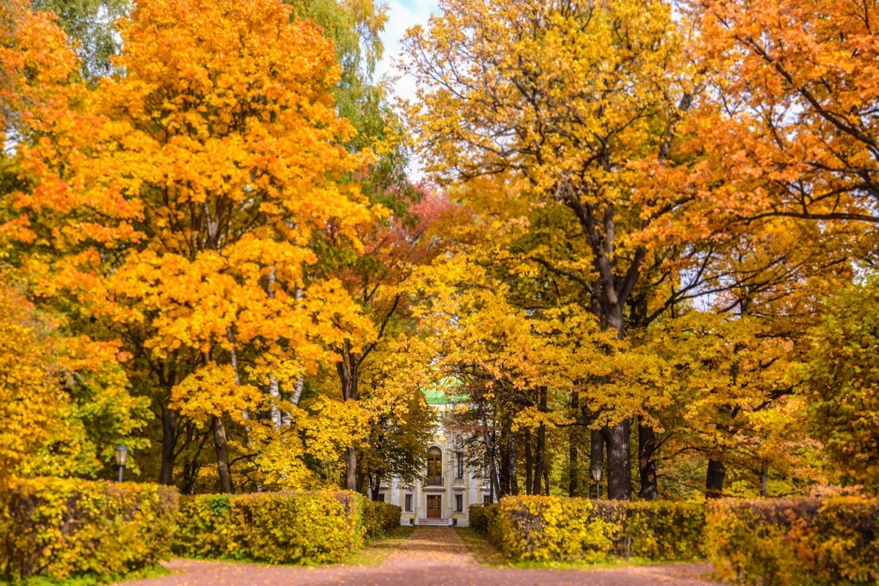 Лучшие места для осенней фотосессии в Москве: идеи и образы для идеаль. Профессиональный фотограф в Москве. Елена Шуваева
