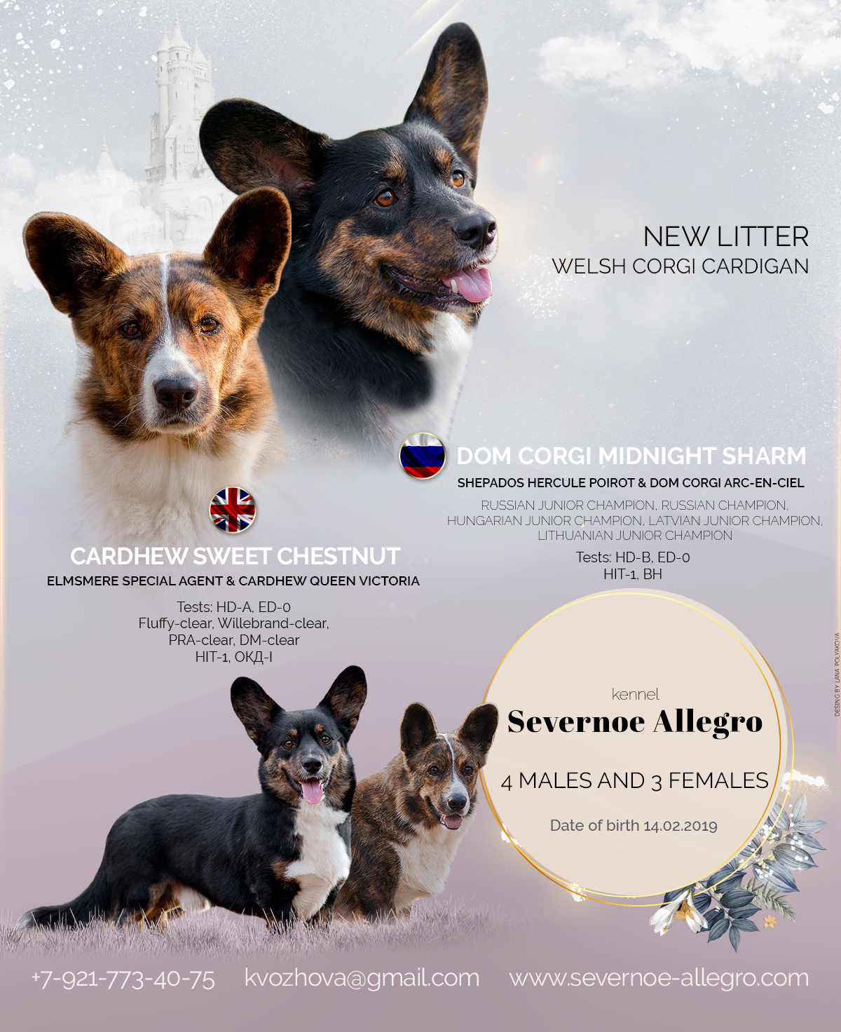 Презентация помета кардиганов