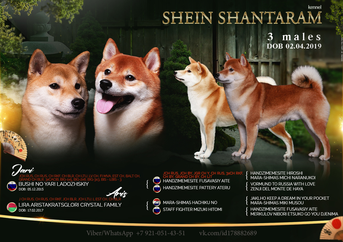 Презентация помета сиба