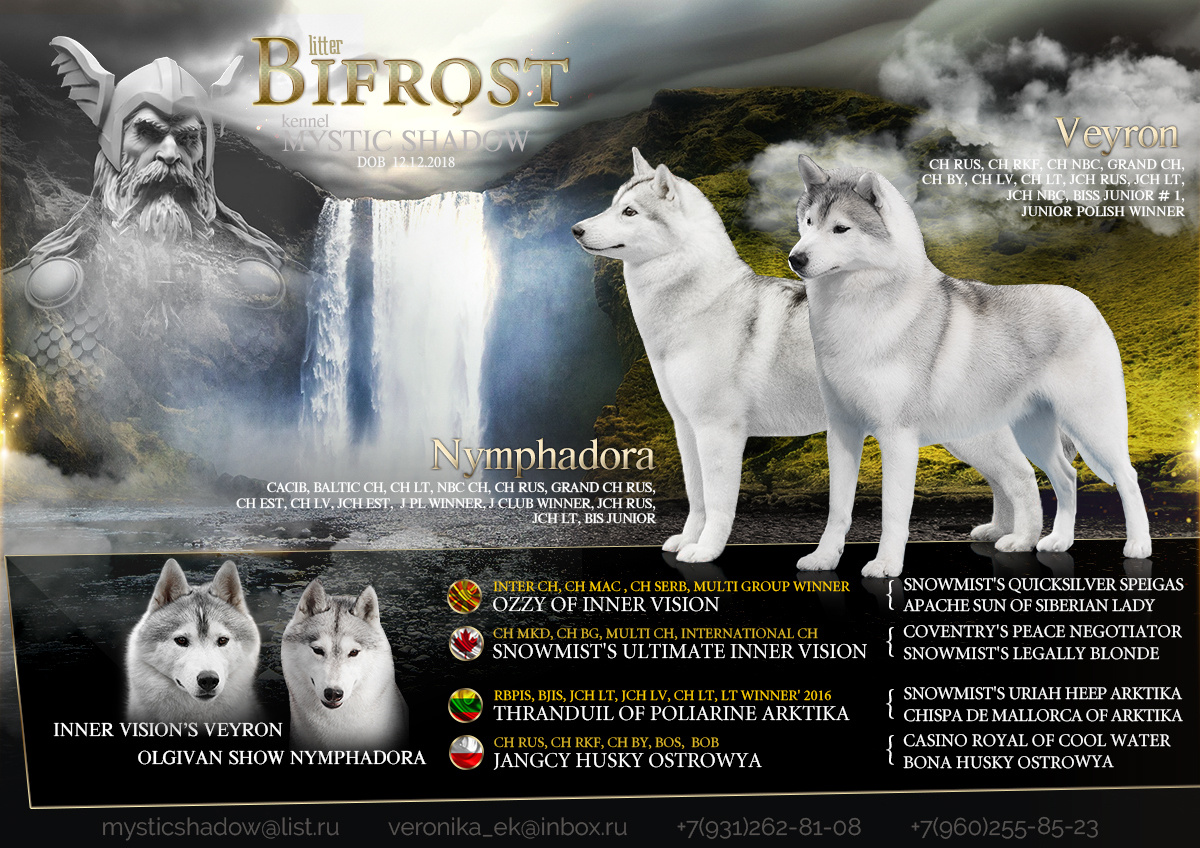 Презентация помета хаски для питомника