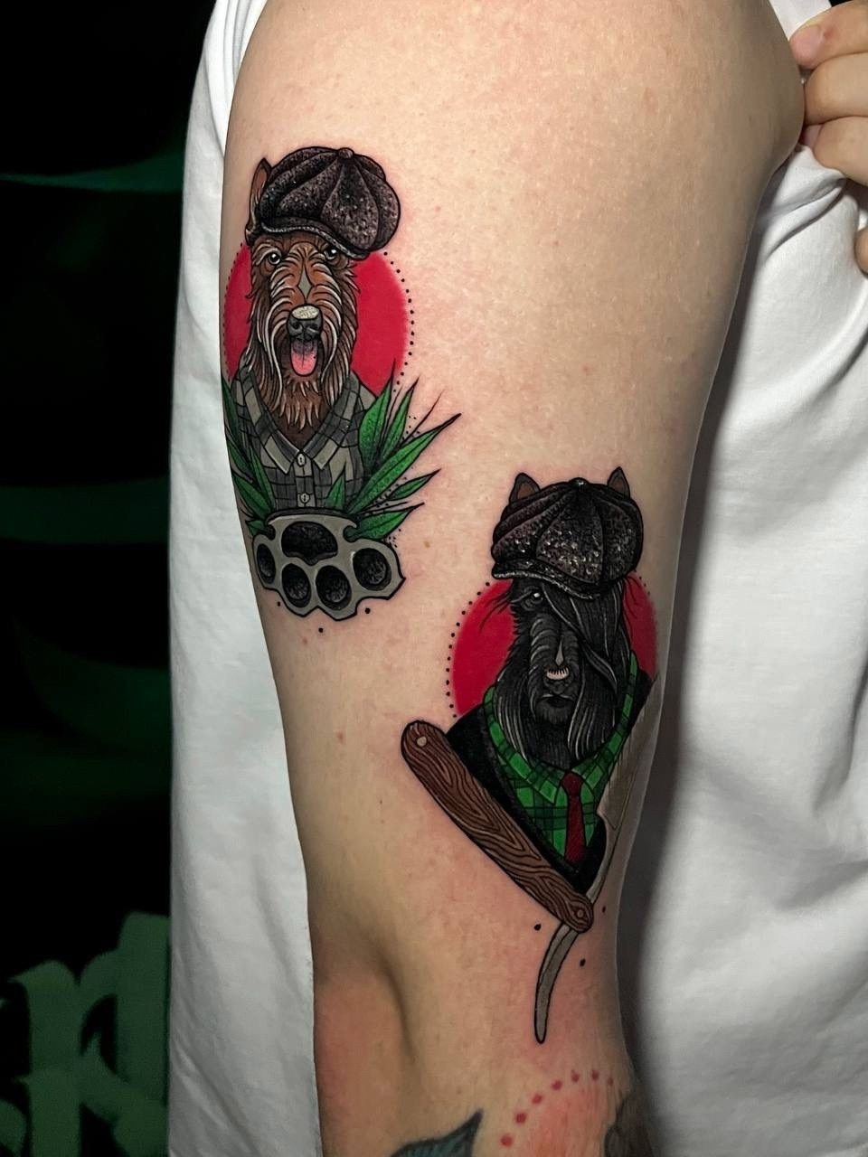 Работы Тимофея