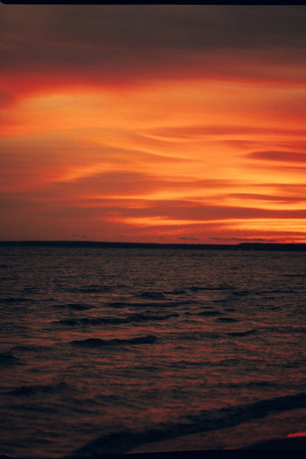 Где-то на заливе. Фотограф Ксения Калюжная