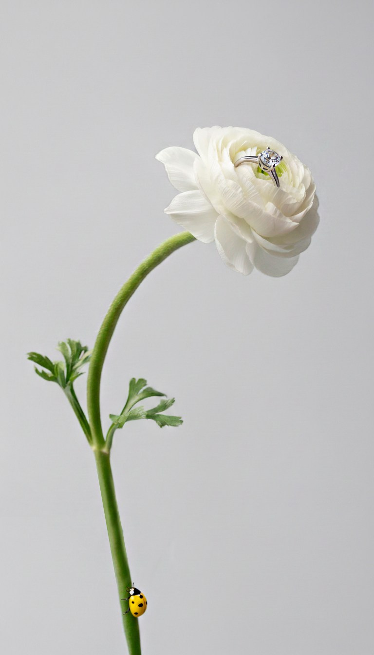 Фотограф СПб Юлия Ерошевская, предметный фотограф