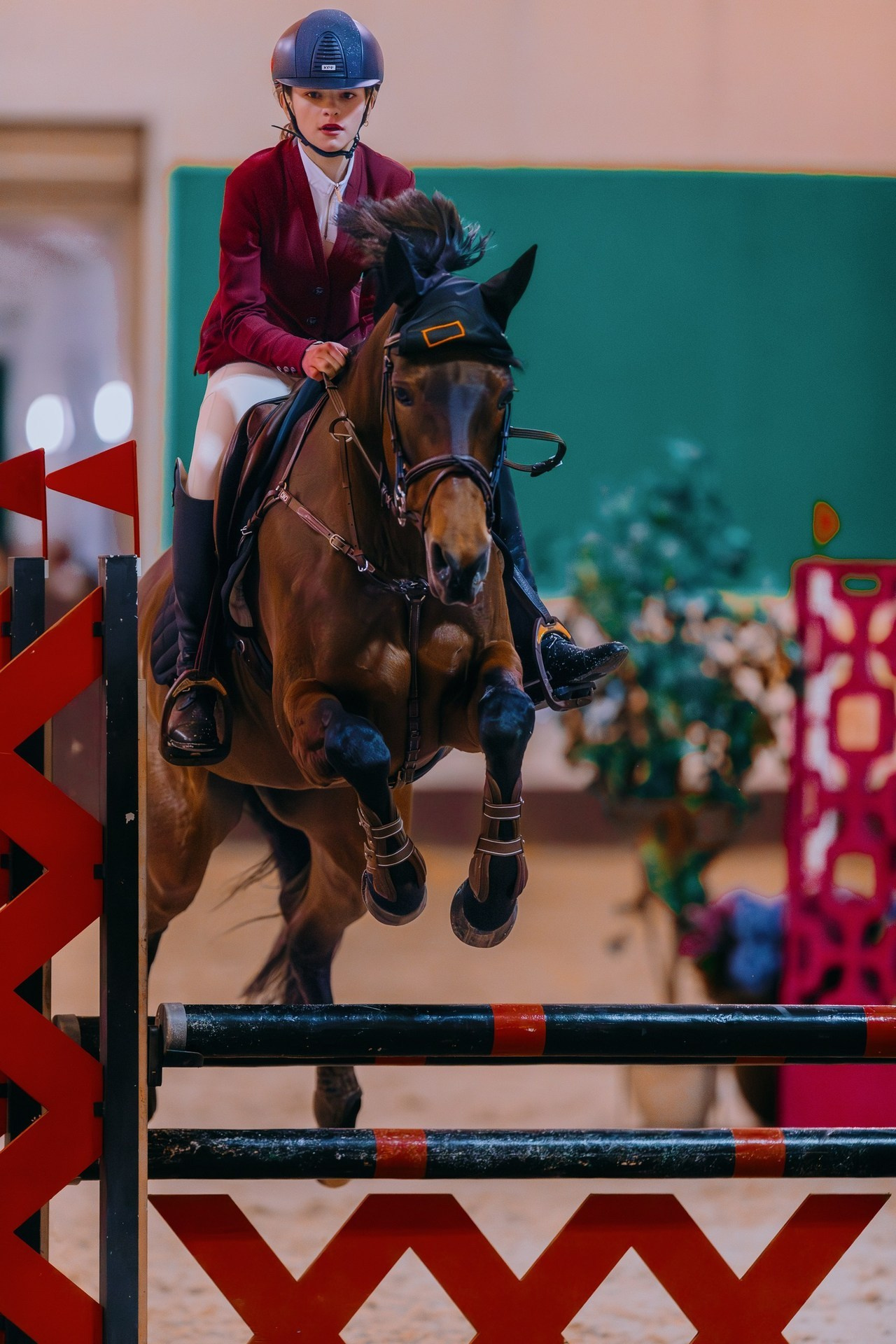 Отзывы. Фотограф-анималист Ксендзова Кристина