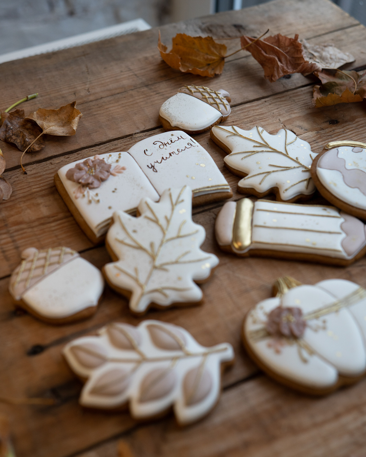 Экофестиваль. Главная