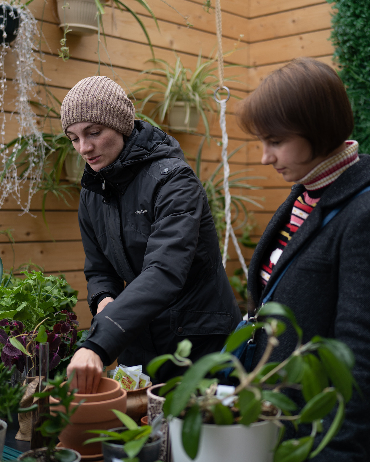 Экофестиваль. Главная