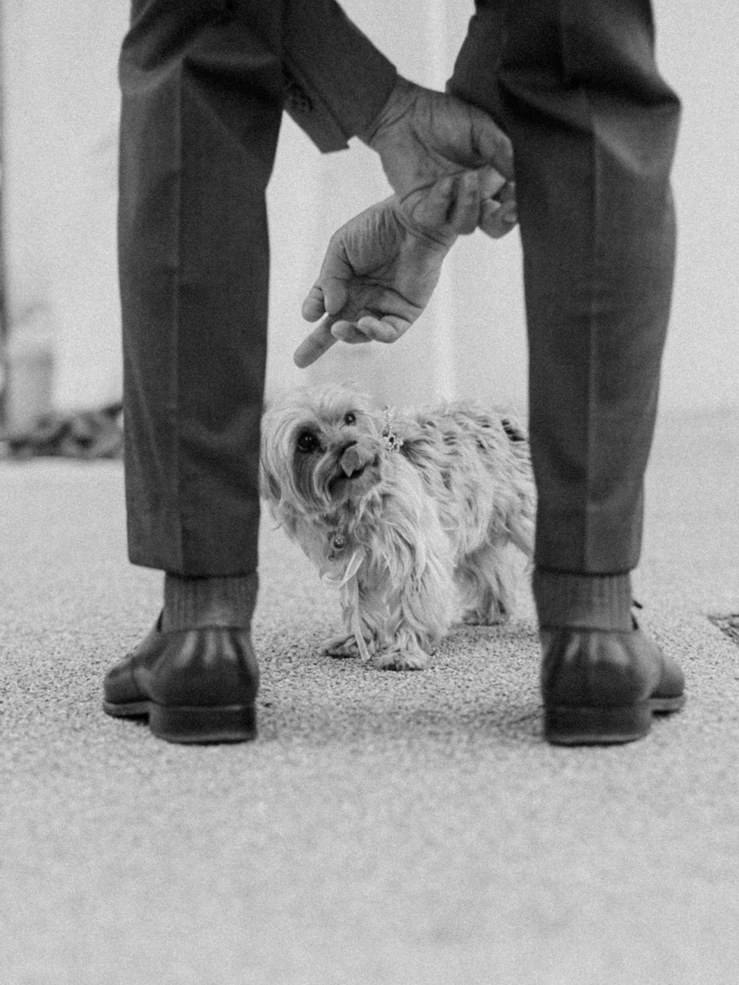 СВАДЕБНЫЕ СЕРИИ. Свадебный фотограф в Москве Павел Лепешев