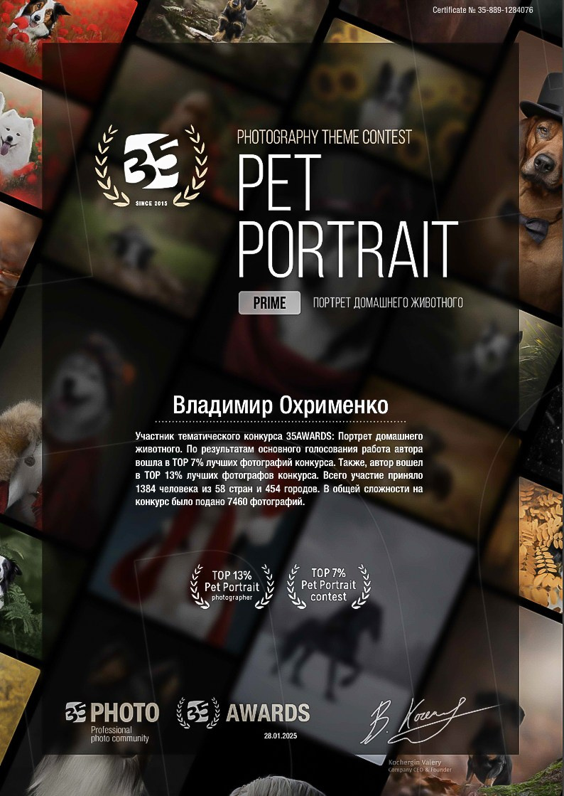 Конкурсы. Фотограф Владимир Охрименко