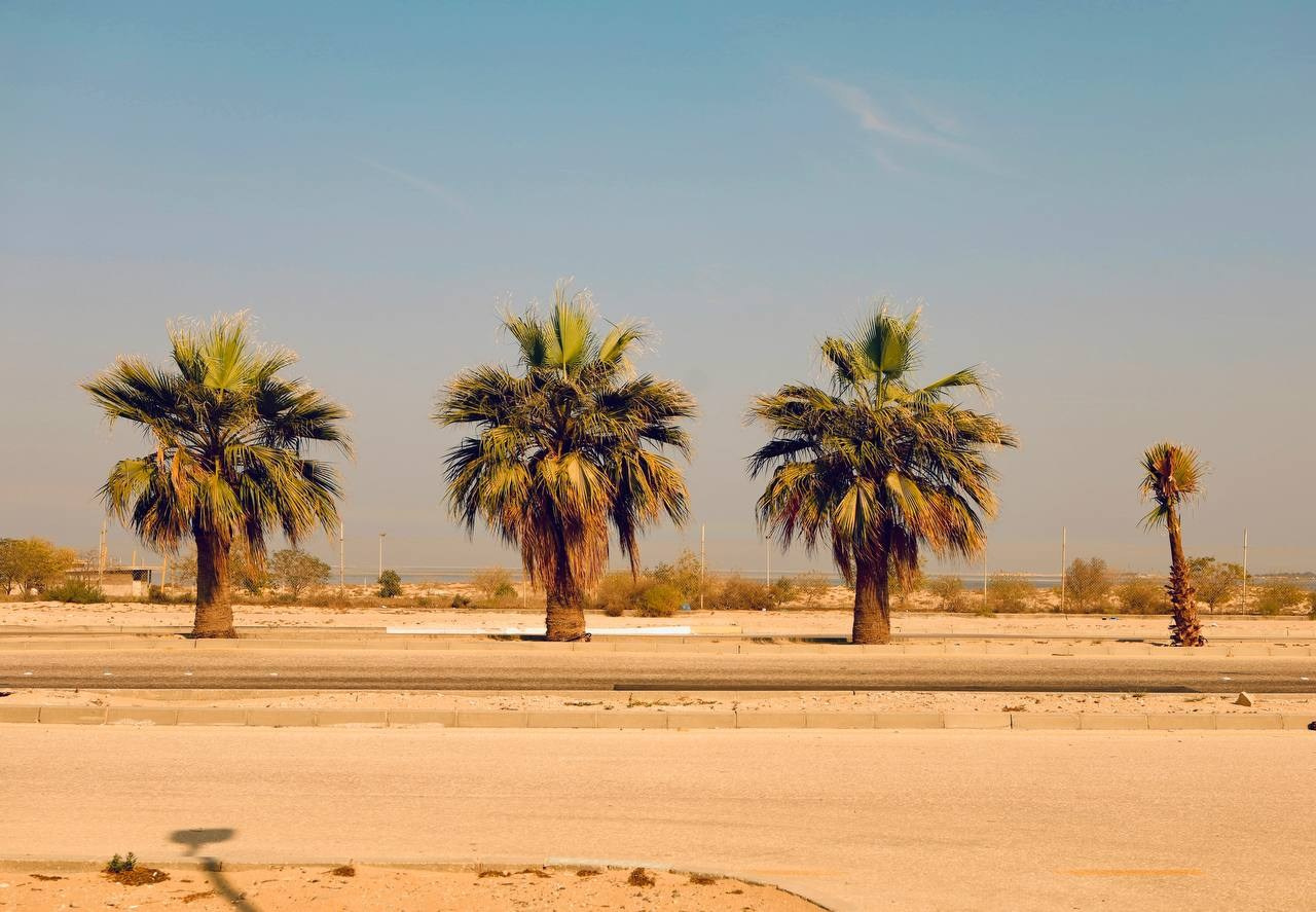 Эль-Джубайль. СА. 2025. Фотограф Михаил Олейник