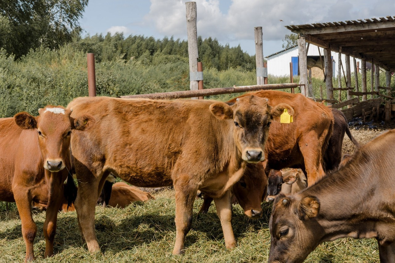 Отзывы. Индивидуальные, семейные, студийные съемки в Серпухове и за пределами
