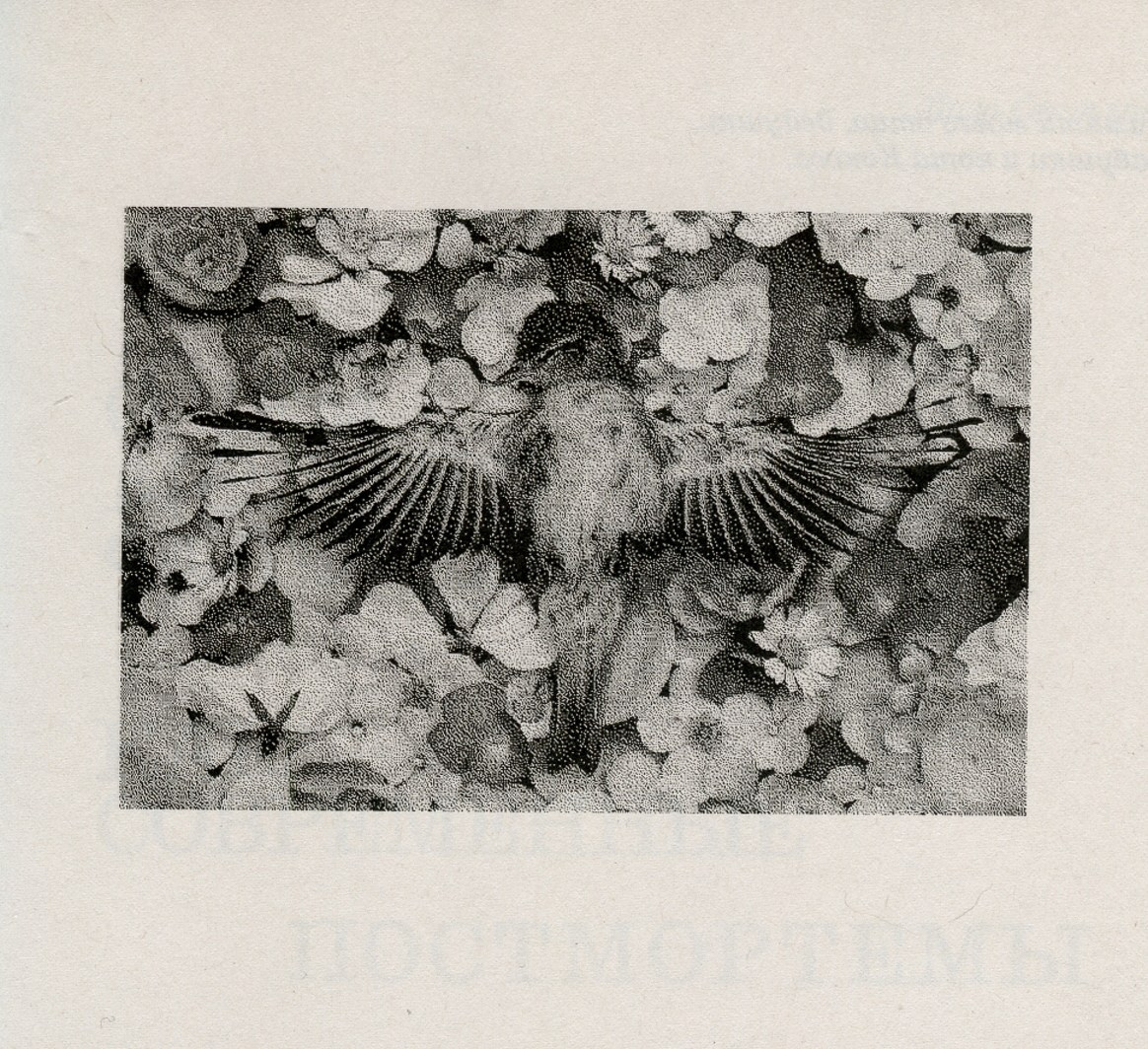 О книге «О чём молчит фотография: как современные постмортемы помогают жить». Private image