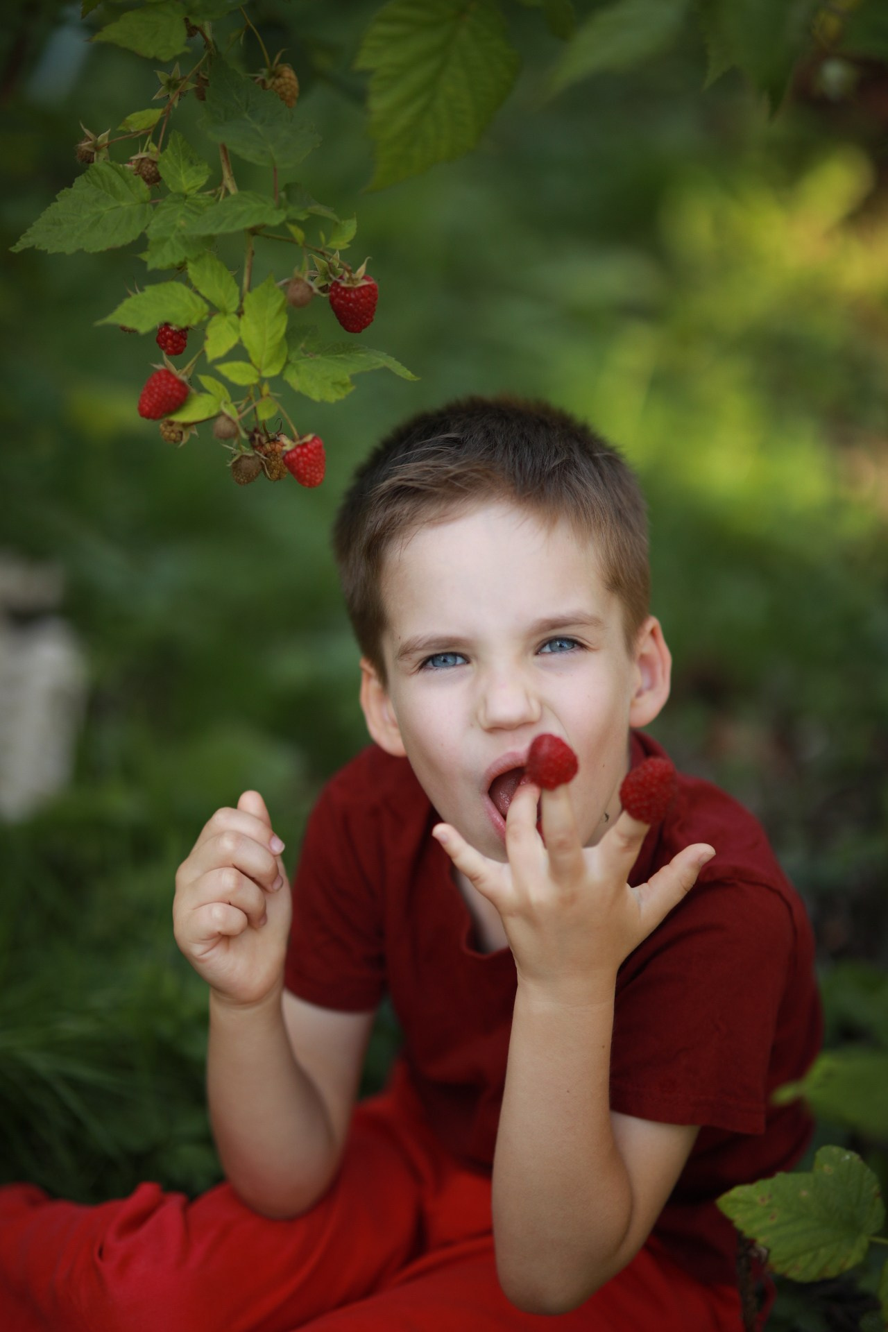 Ягода-малина. Фотограф Юлия Рязанова Москва семейный и детский