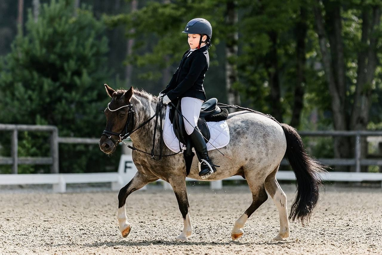 Третий этап КУБКА КСК «АЛМАЗОВО» по ВЫЕЗДКЕ. Конный фотограф Куракина Дарья • Фотосессии с лошадьми