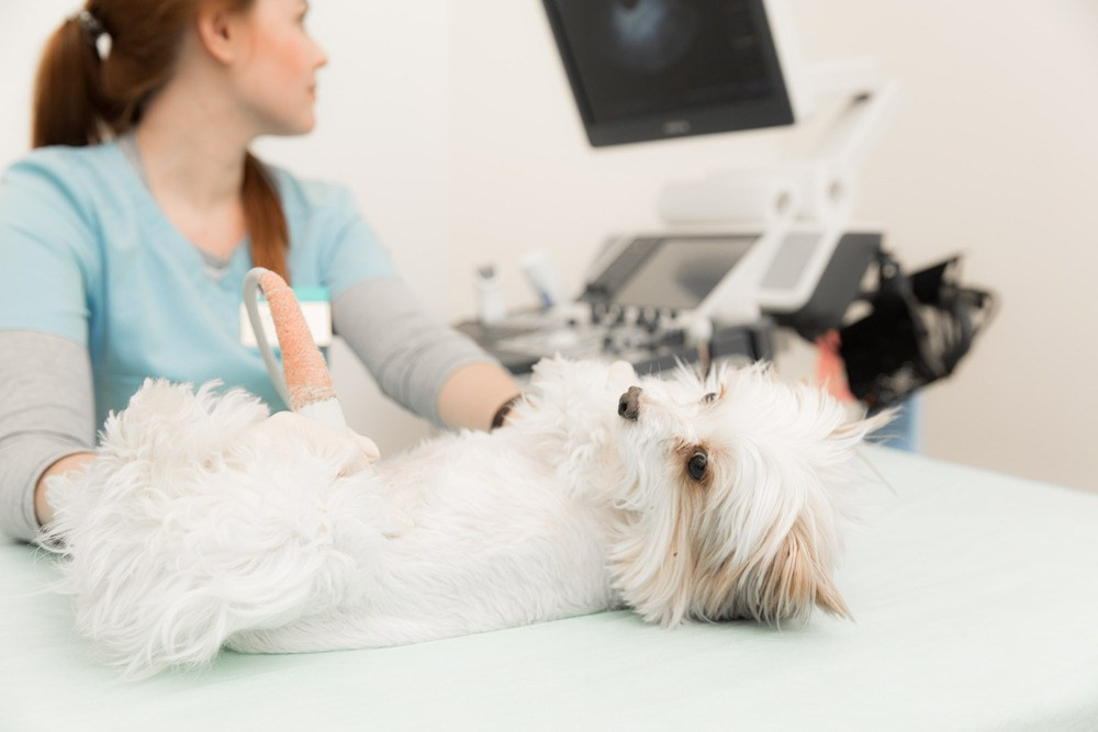 Рекламный и контент фотограф в СПб