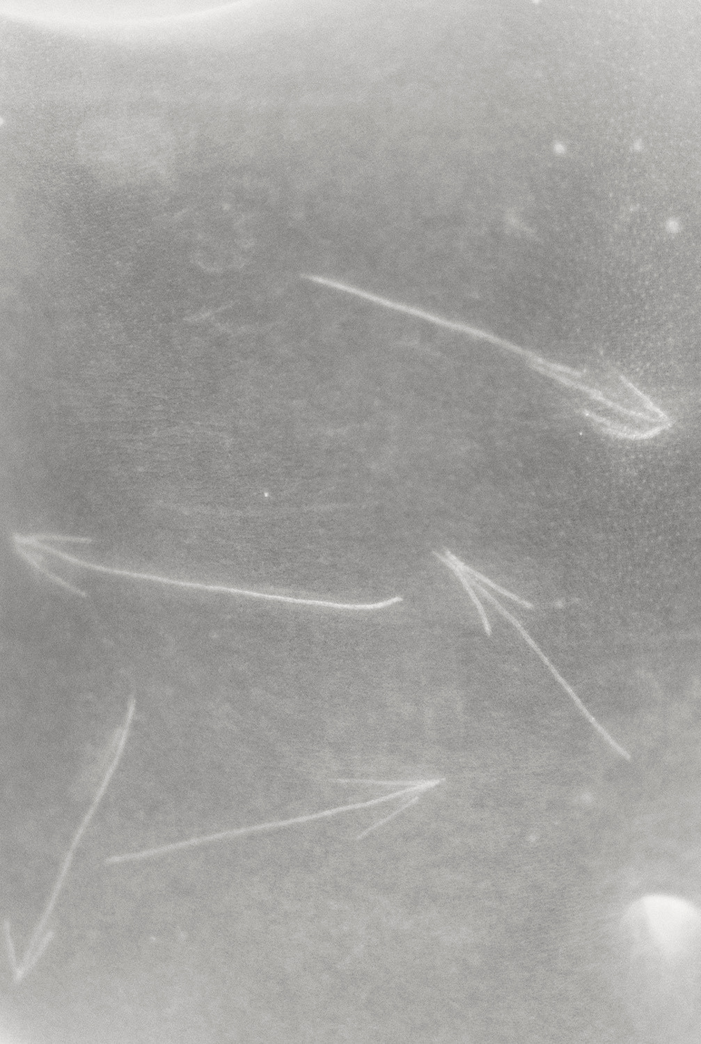 Выставка ''Я люблю тебя. Ничего не бойся'' с 28 октября по 28 ноября 2