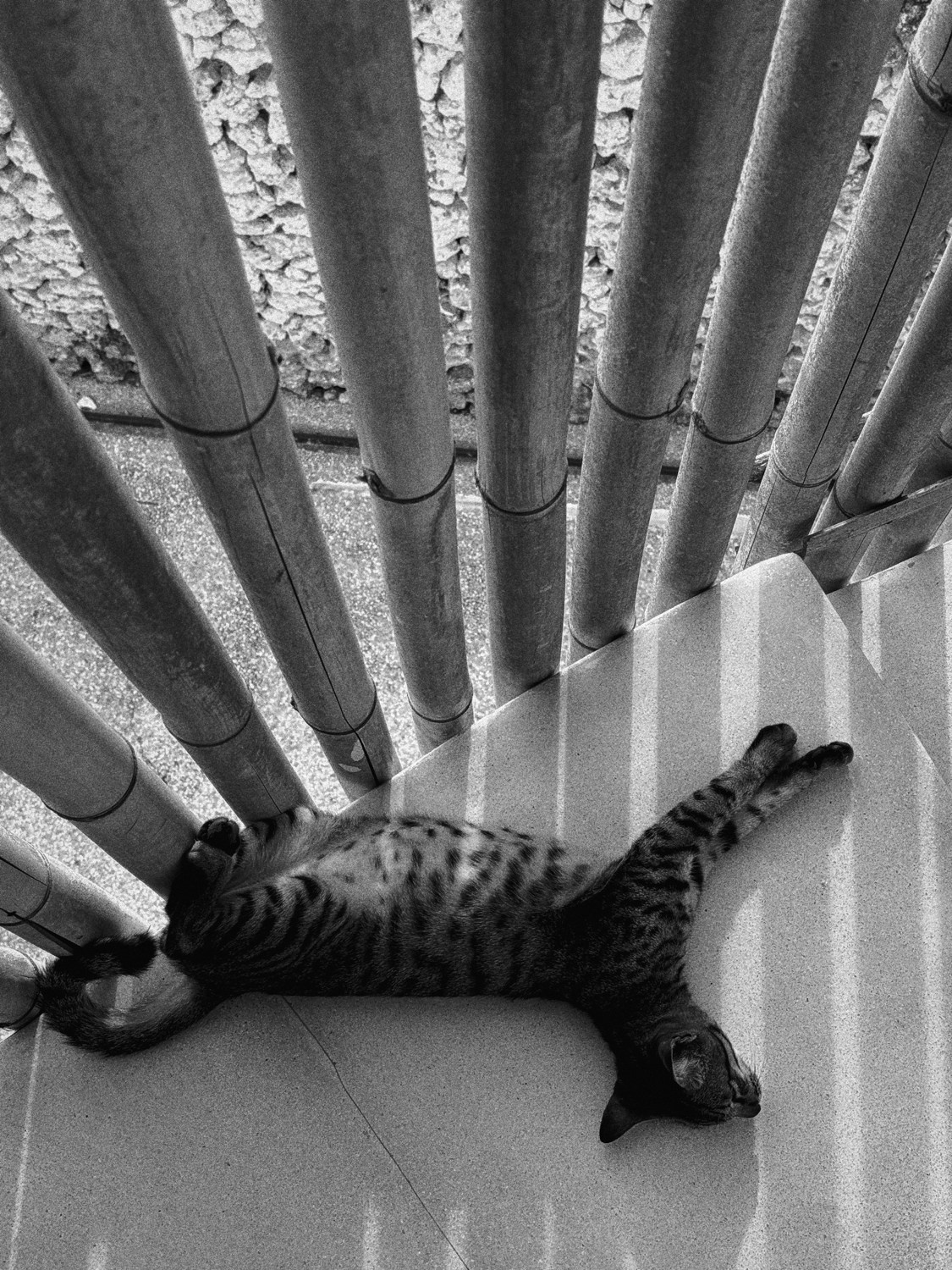 Современная концептуальная фотография о теле, уязвимости и идентичности. Визуальная практика на стиле честности, пост-иронии и искусства.Рекламная фотография, Концептуальная фотография, Современный художник, Психология, Коммерческий фотограф, Репортажный фотограф, Стрит фотография, Арт, Сюрреализм, Мобильная фотография, Снято на айфон, Дима Бурза