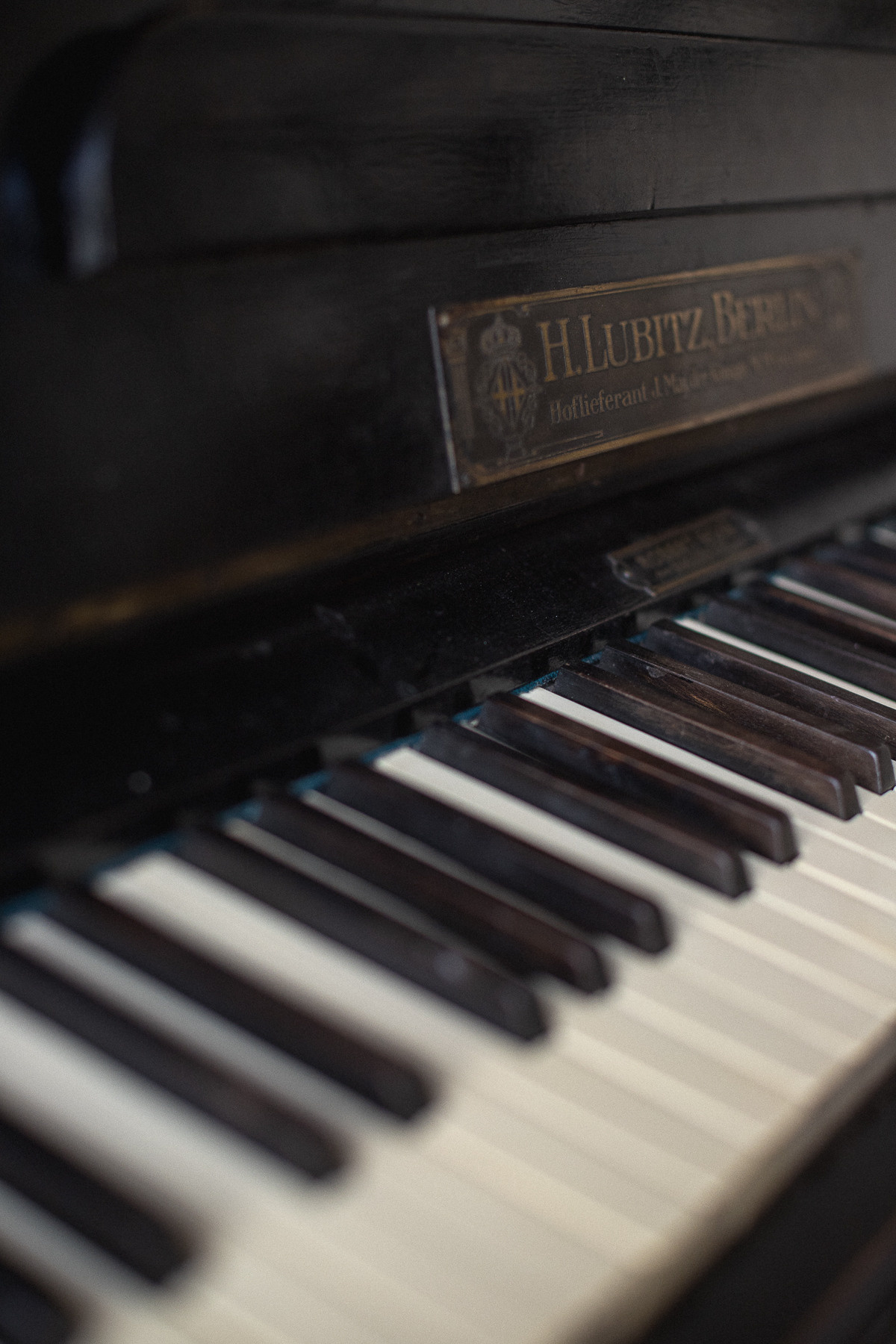 Эльмира. Фотосессия в мастерской. Алёна Берёзка фотограф Минск