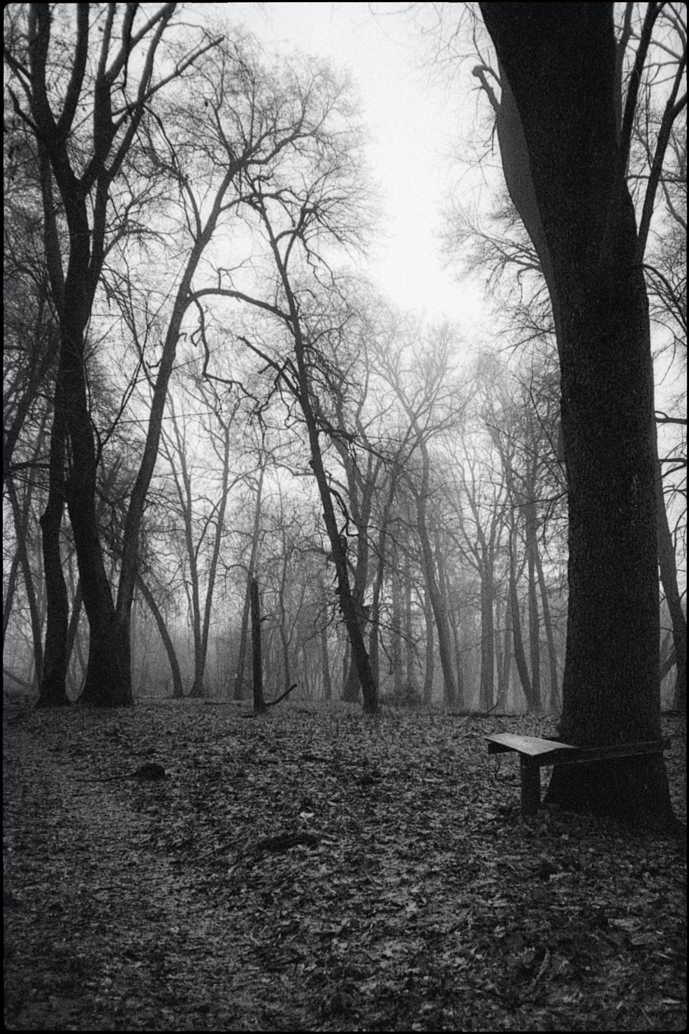 Пленочная фотография Олег Кузнецов. Artkapella|Олег Кузнецов