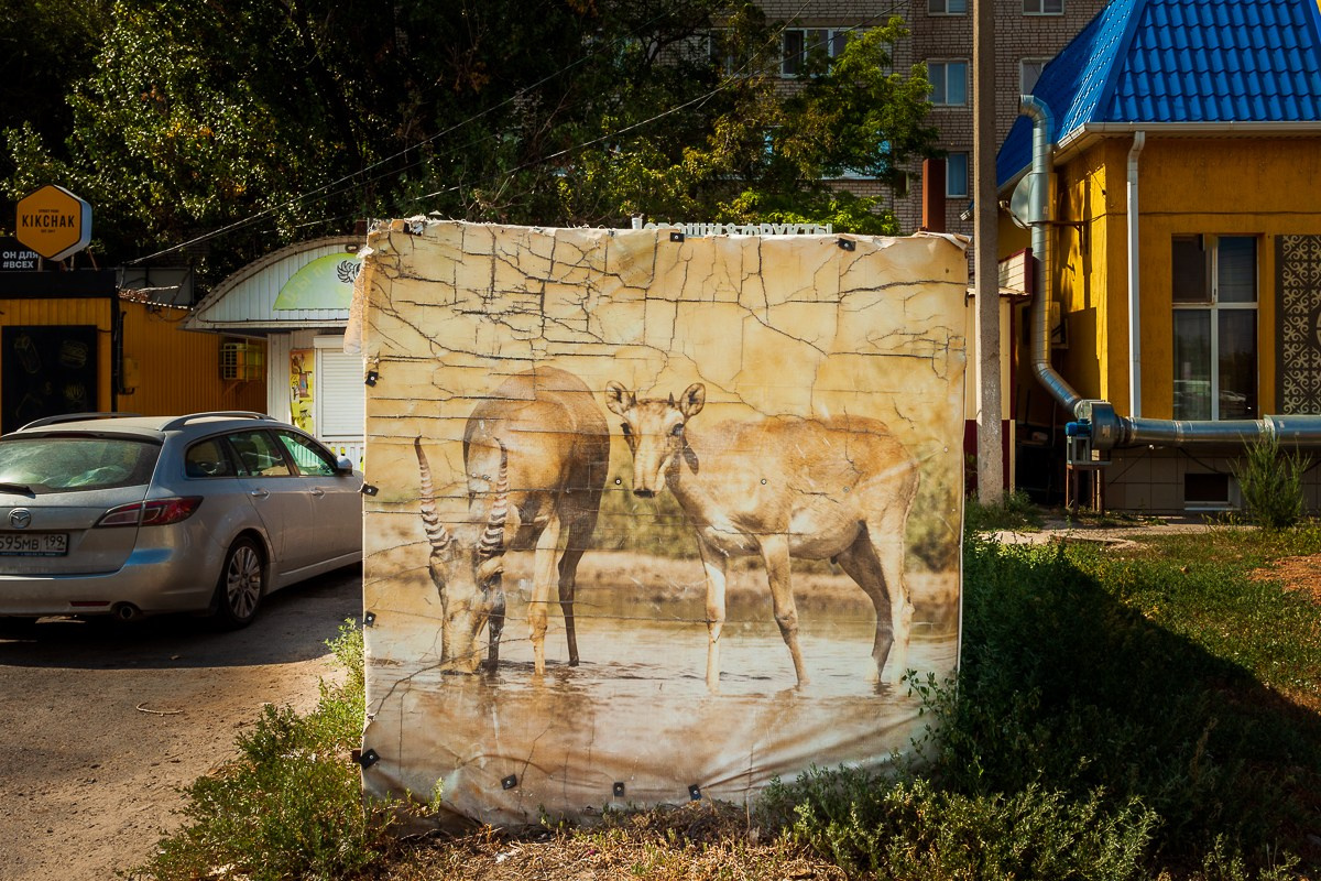 КАЛМЫКИЯ. Фотограф в Москве Татьяна Макотра