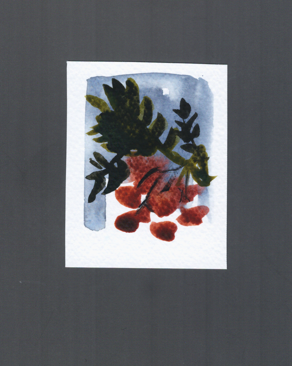 WATERCOLOR / 2023. ODSAE