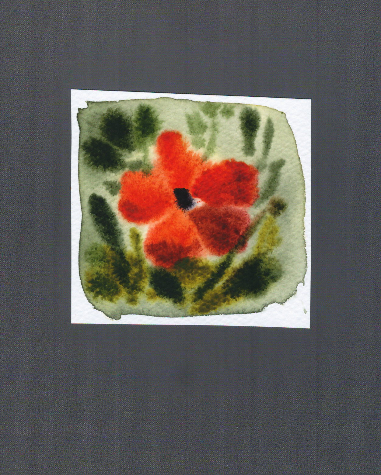 WATERCOLOR / 2023. ODSAE