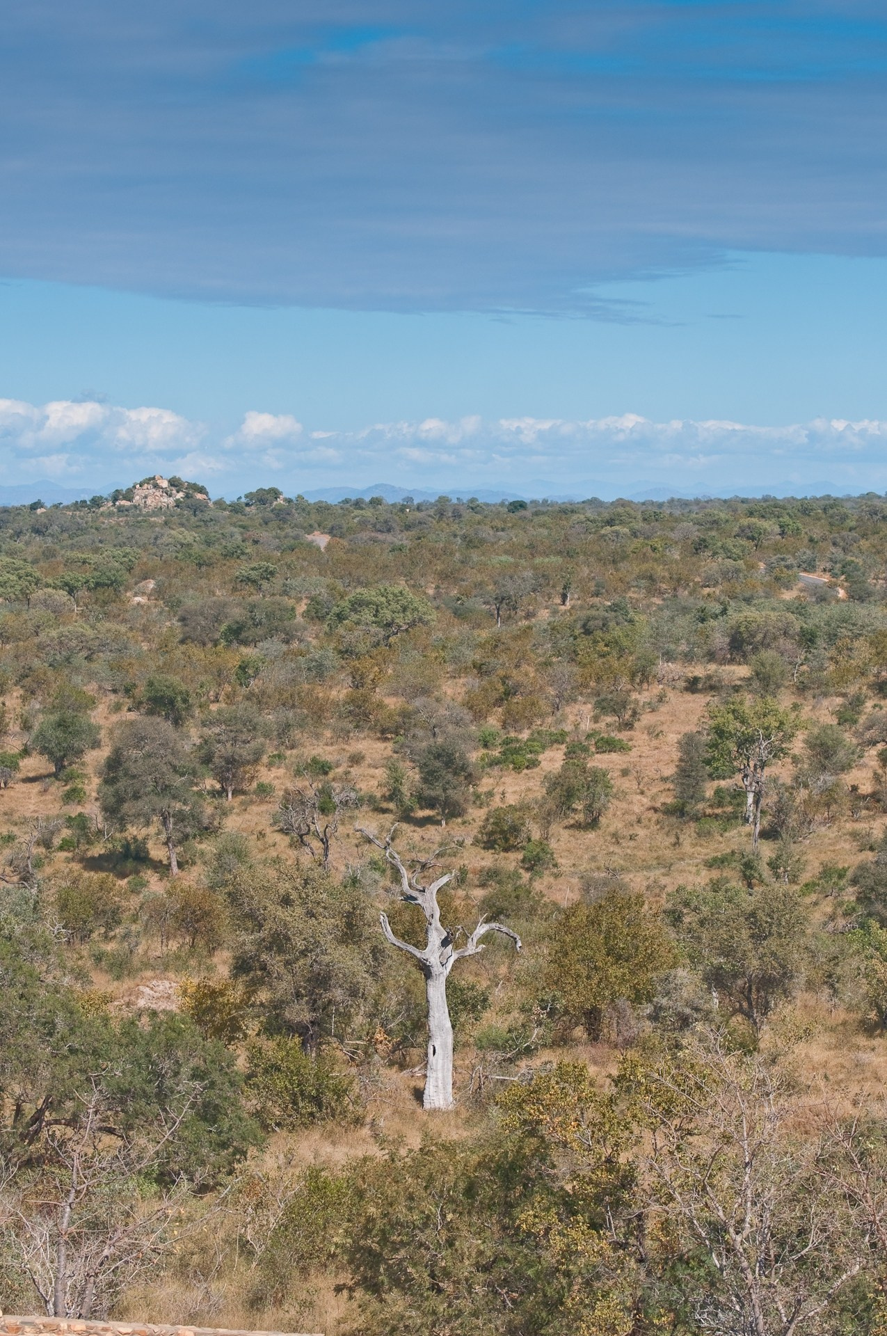 Kruger park. Фотограф Лара Кучина