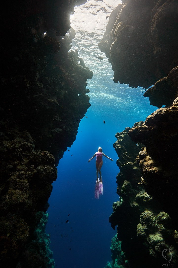 Подводная съемка в море. Главная