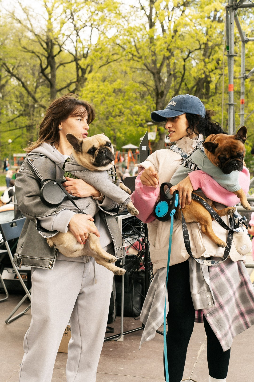 Парад Бульдогов. Axenov_eugene