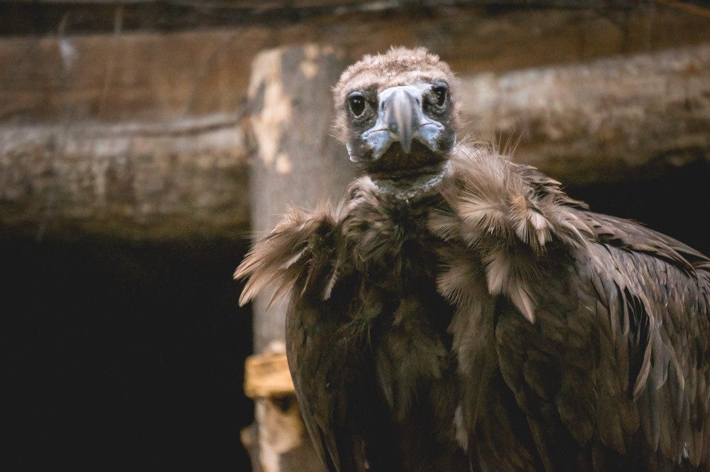 Монголия. Фотограф в Хабаровске. Фотография за 24 часа