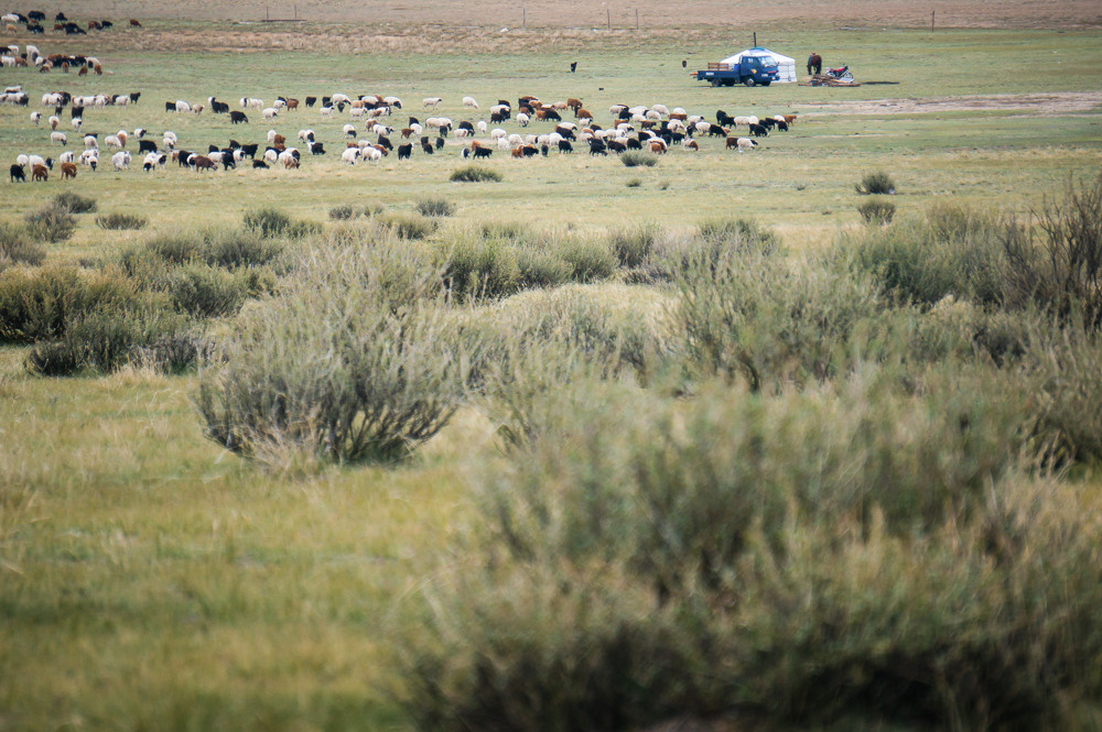 Монголия. Фотограф в Хабаровске. Фотография за 24 часа