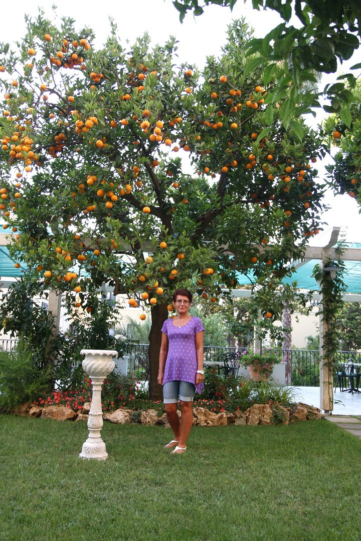 Италия. Сорренто 2011. Улица, люди, жизнь…