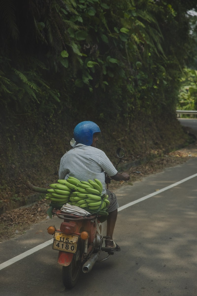 Шри-ланка. Ретрит «Bodу.Mind.Soul» Март 2024 Фото. Профессиональный фотограф Татьяна Евглевская