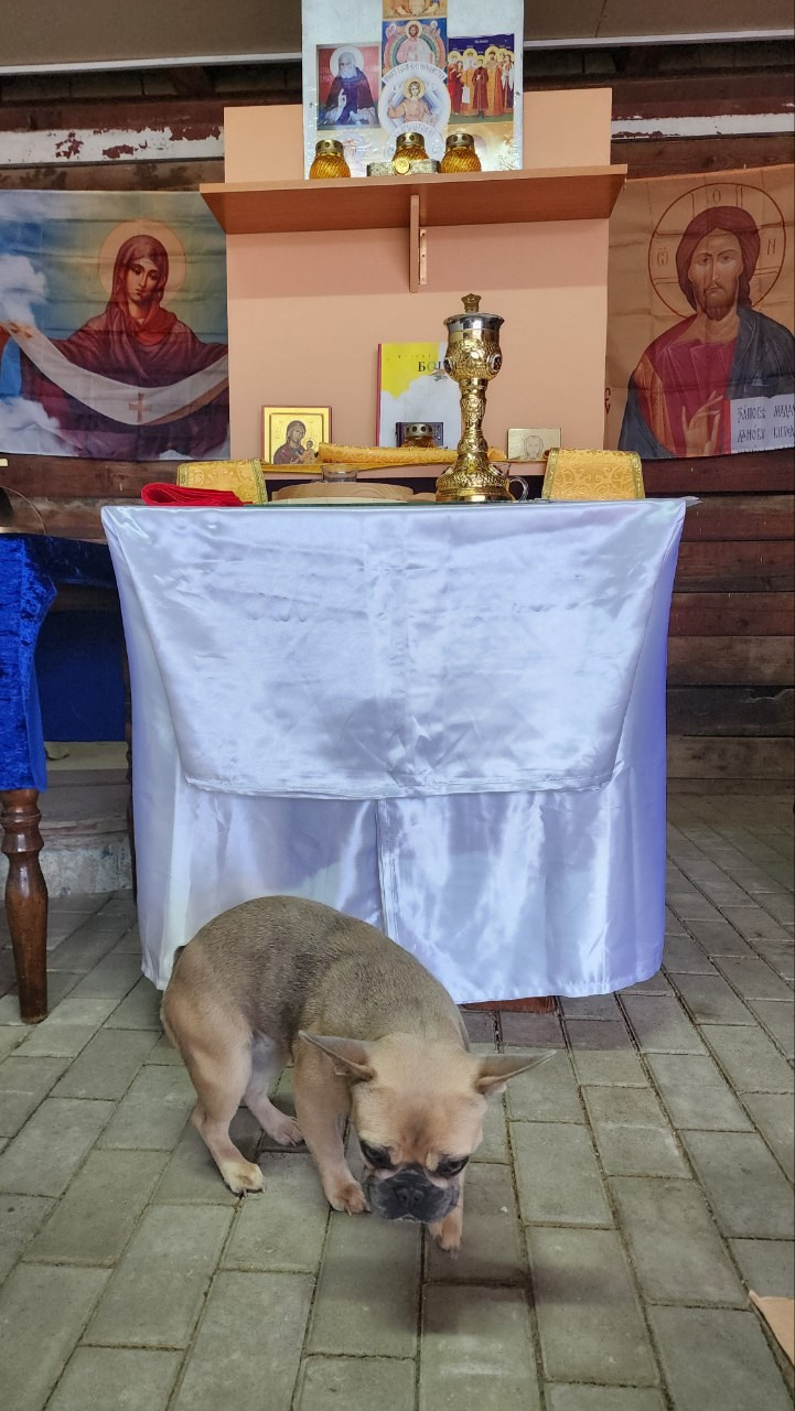 Литургия в Горячем Ключе (2024-09-21). Собор Отрасли