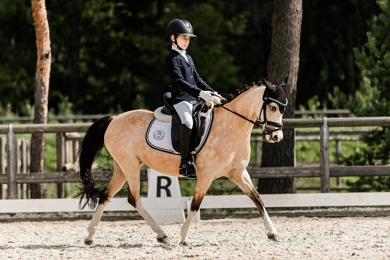 Четвертый этап КУБКА КСК «АЛМАЗОВО» по ВЫЕЗДКЕ. Конный фотограф Куракина Дарья • Фотосессии с лошадьми