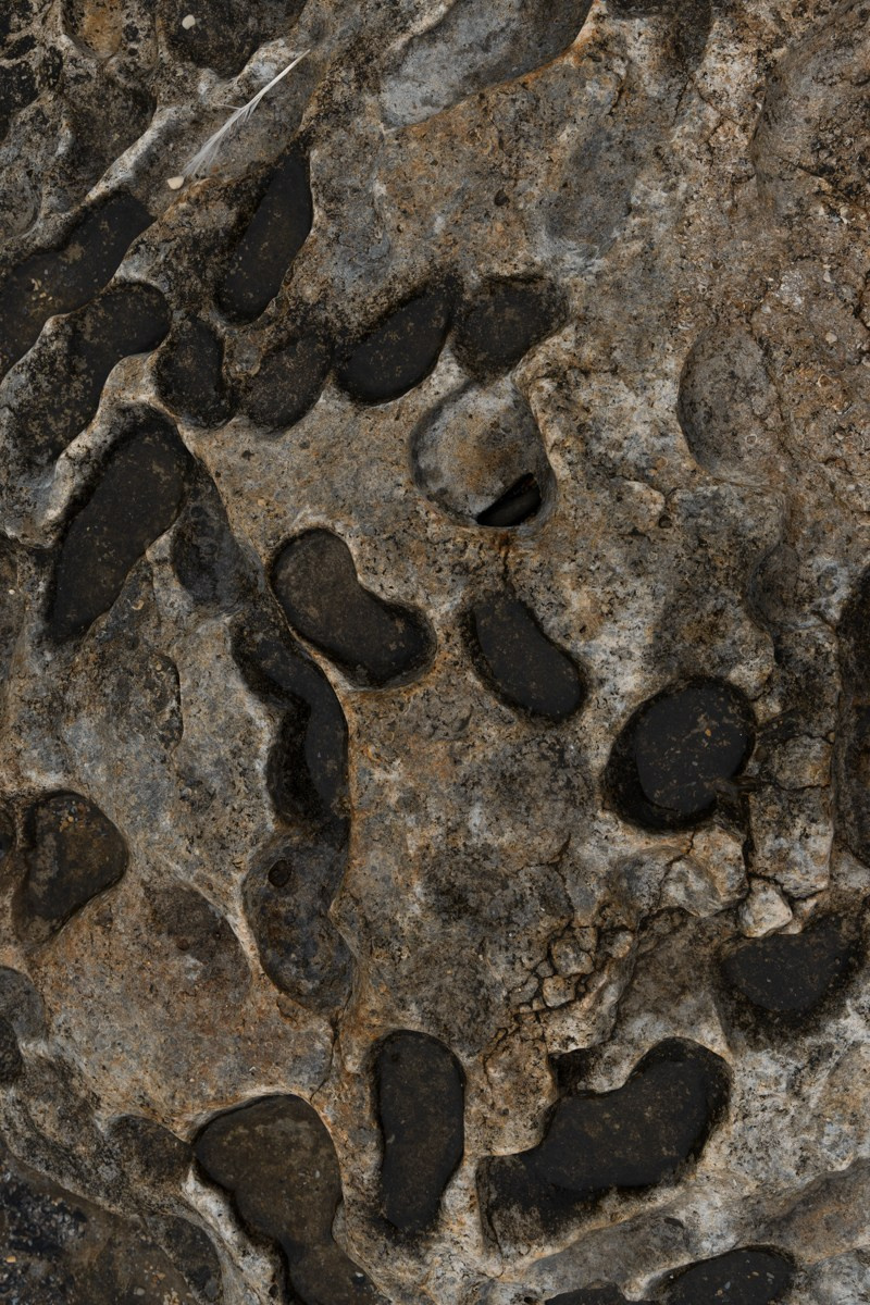 Избербаш. Photomantis