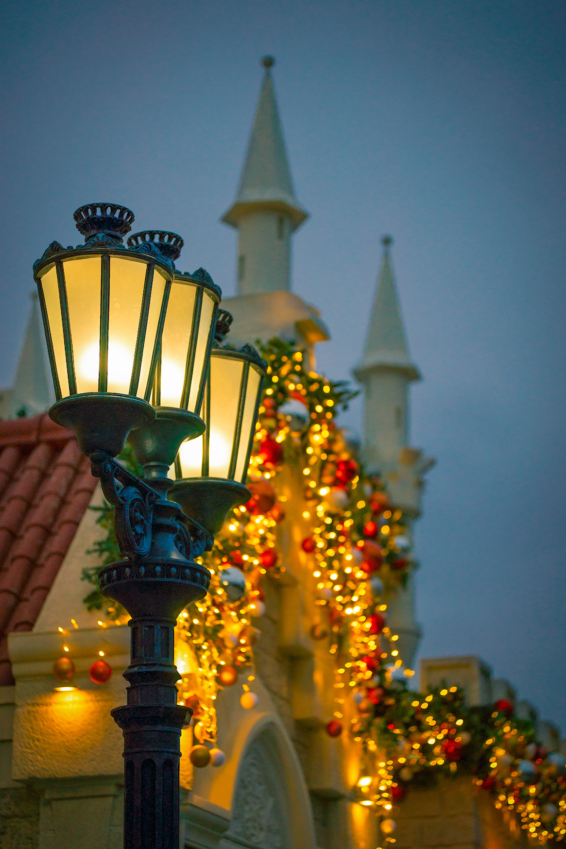Даниил Мурай. Семейное фото. Мужской портрет. Женский портрет. Даниил Мурай — Фотограф Зеленоград- Аланья