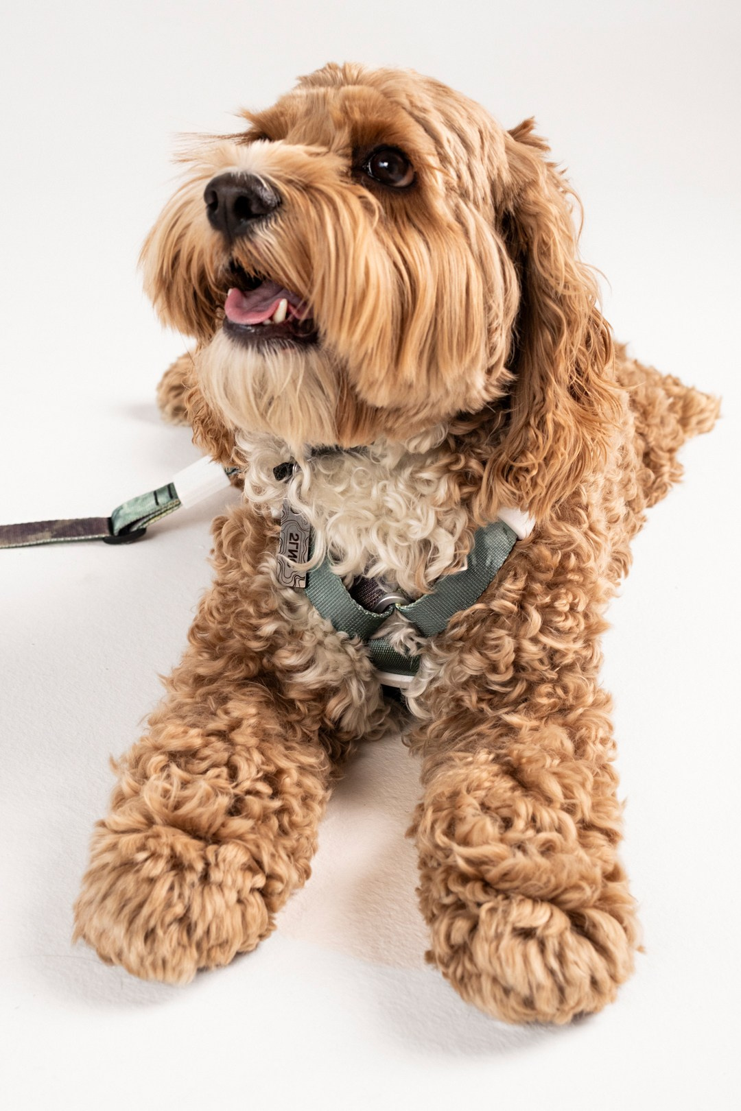 2ГИС & staya. Романова Александра фотограф в Москве