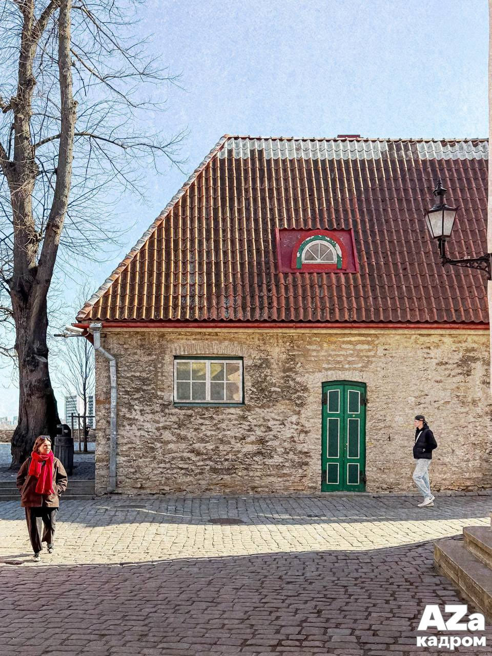 AZакадром «В поисках красного». Женский семейный фотограф Тула Москва Захарова Анна