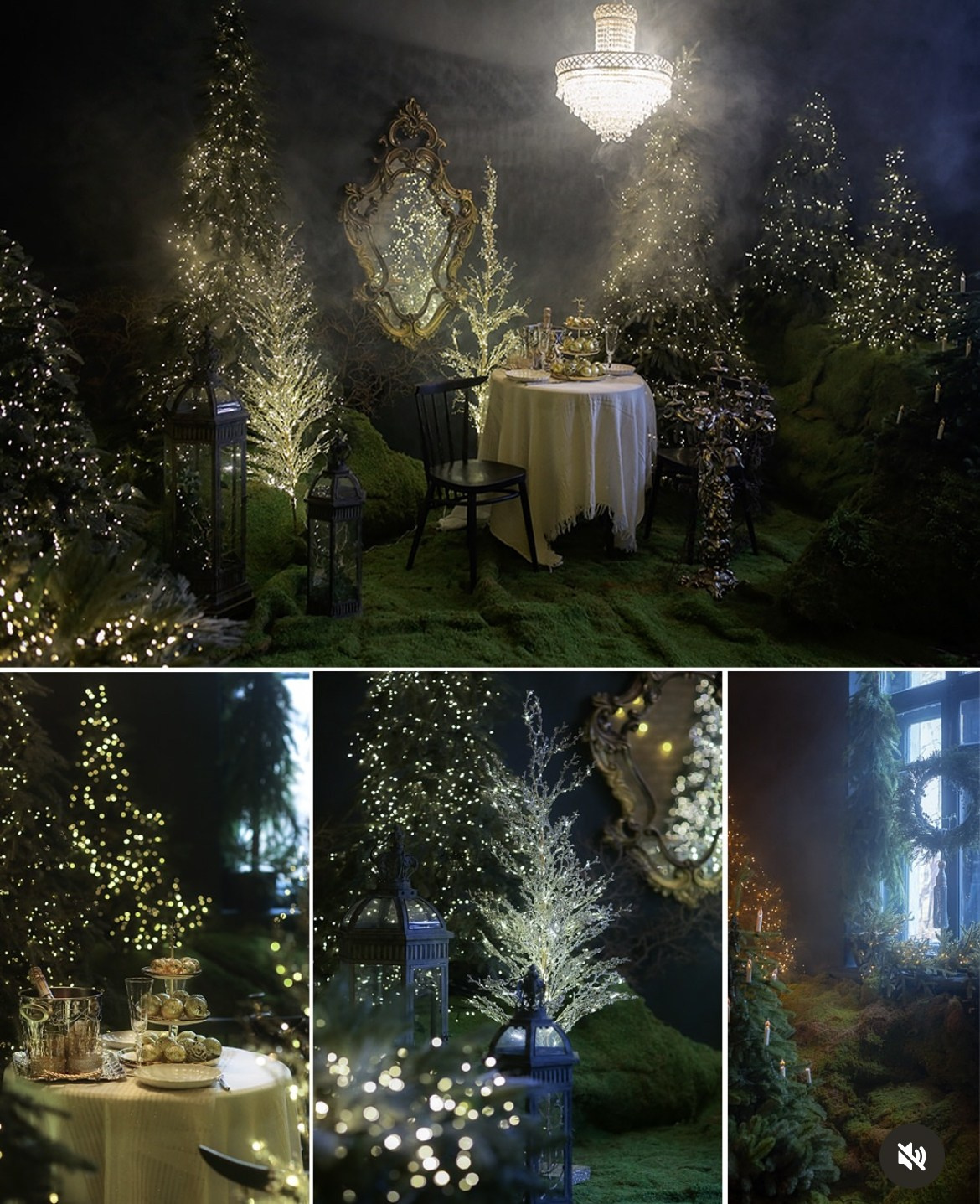 Forest. Фотограф в Алматы