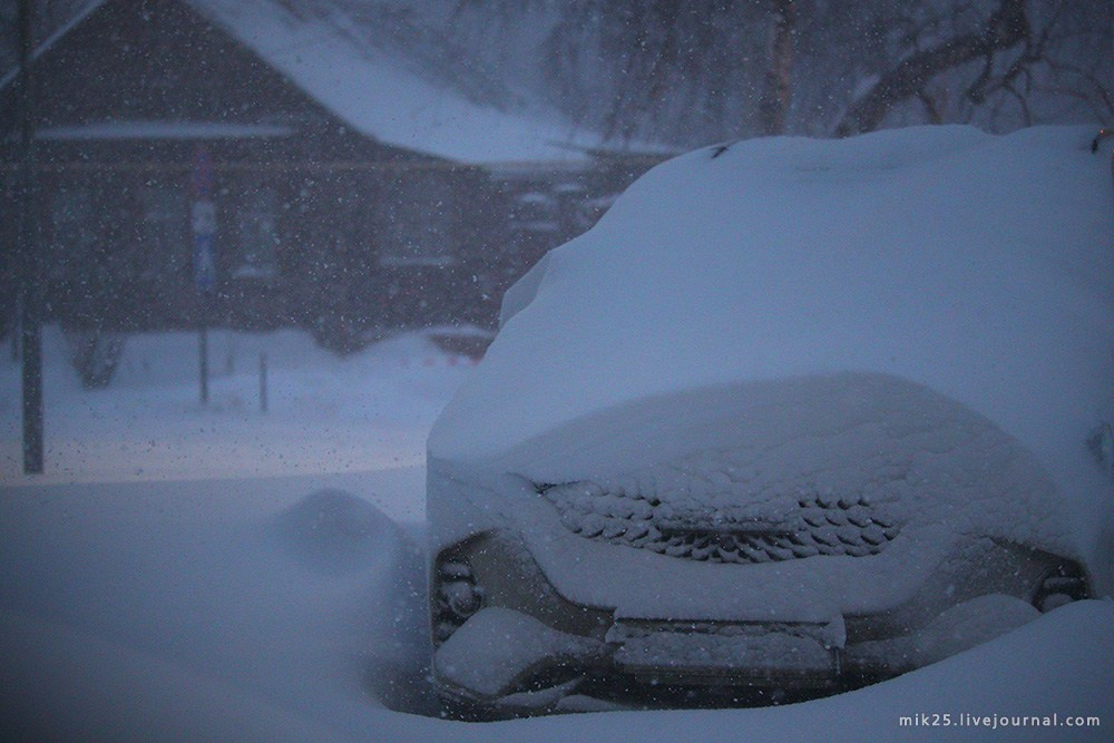 Новогодний снежок. Mik25