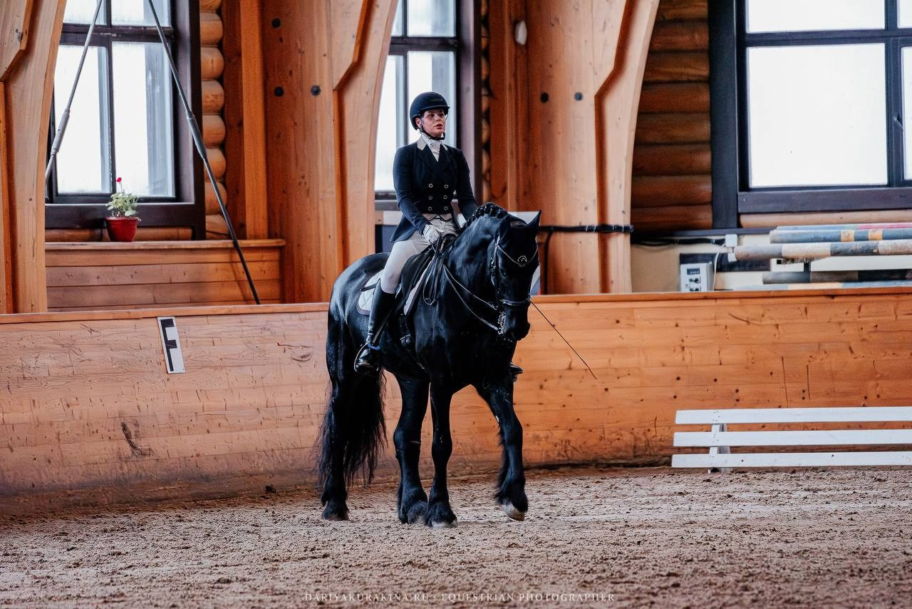 СОРЕВНОВАНИЯ «ЗИМНИЙ КУБОК КСК «ПЕГАС» ПО ВЫЕЗДКЕ. Куракина Дарья • Конный фотограф
