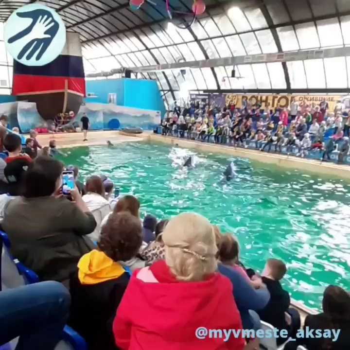 Море восторга в Ростовском дельфинарии!