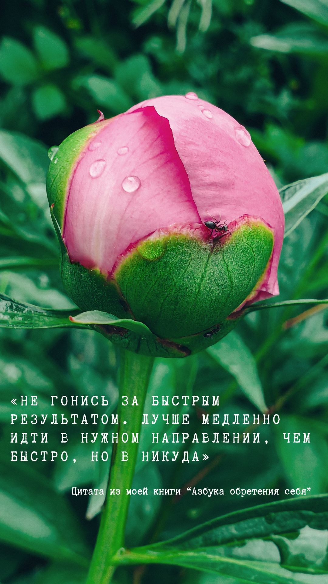 О главном. Творческая Таты Пахомовой