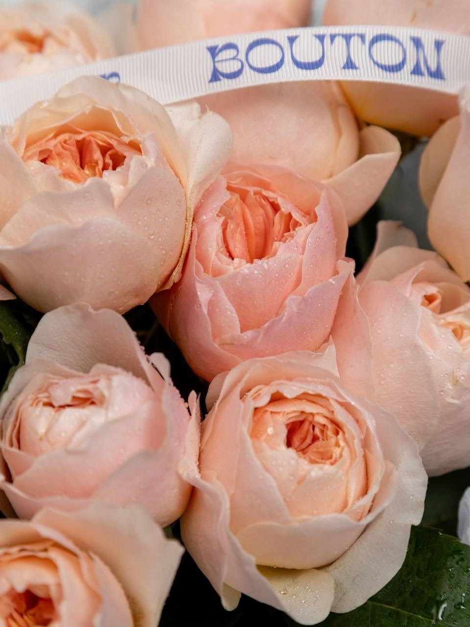 Цветы. Фотограф Алексей Зозин в Москве