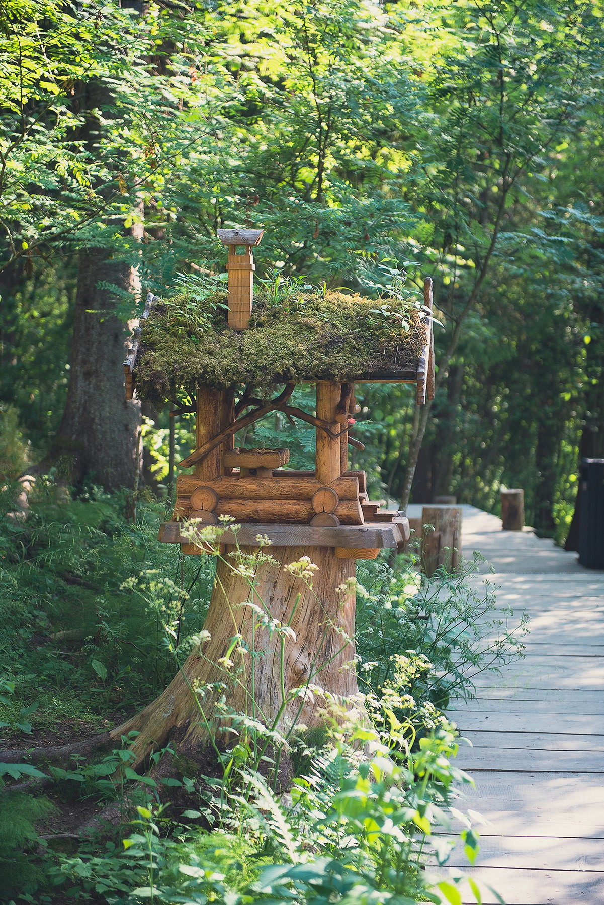 Карелия. Фотограф-анималист Наталья Светличная